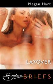 Bookcover: Layover