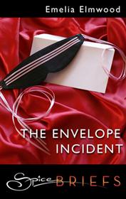 Bookcover: The Envelope Incident