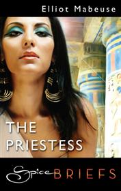 Bookcover: The Priestess